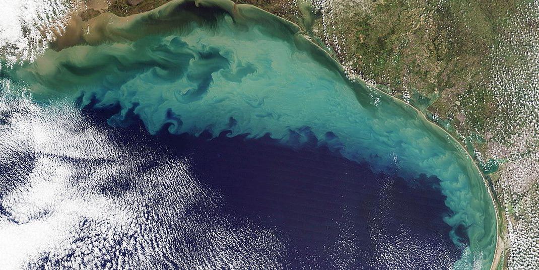 A satellite image of a dead zone in the Northern Gulf of Mexico